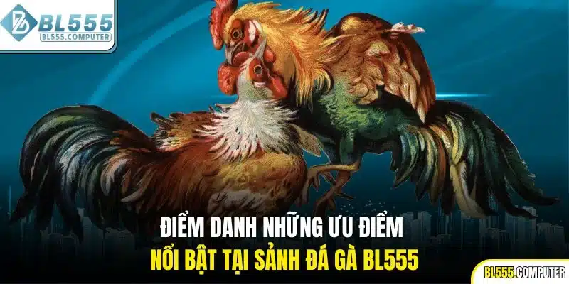 Điểm danh những ưu điểm nổi bật tại sảnh đá gà BL555